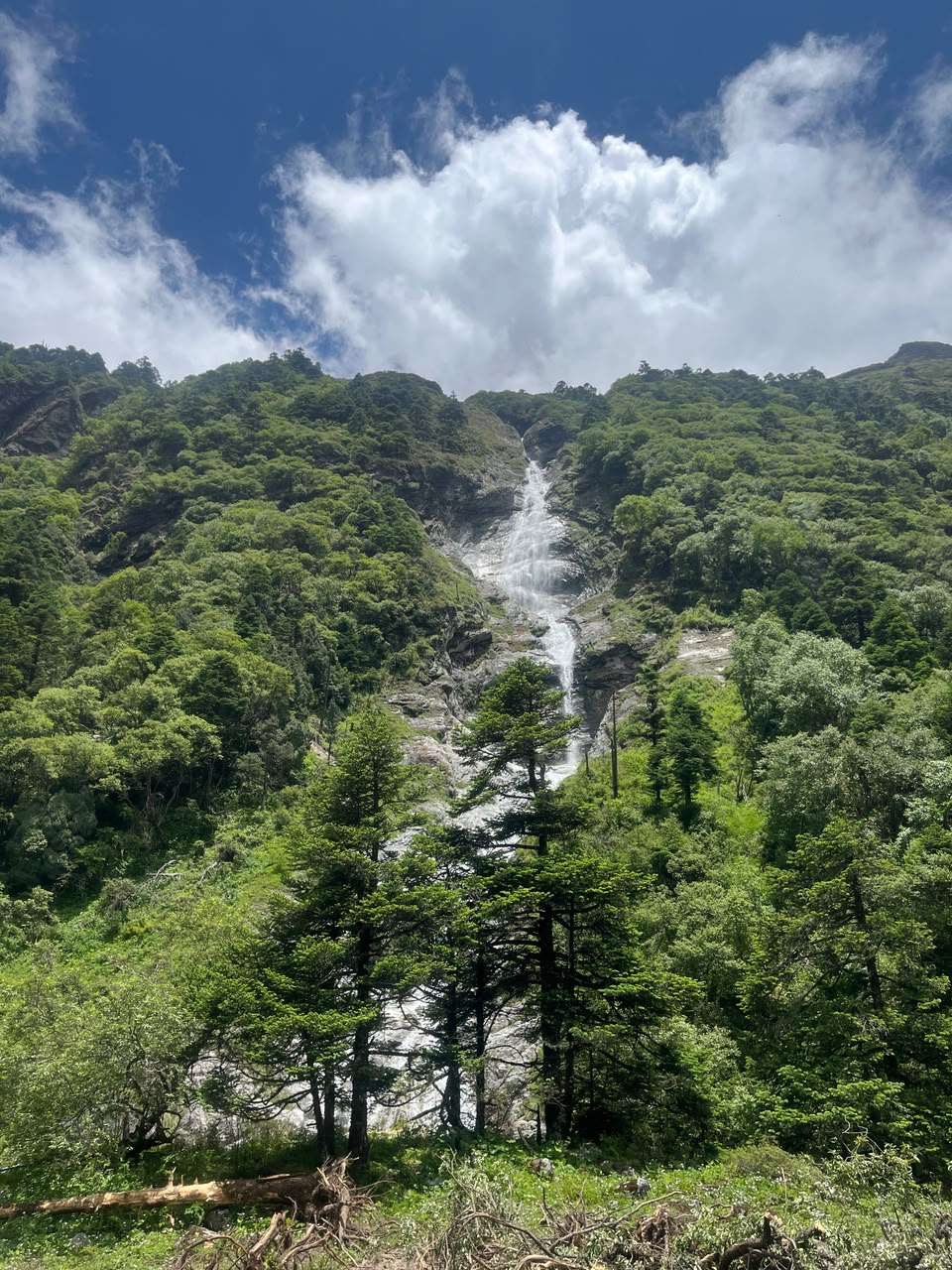 A waterfall dropping down a forested ridge, framed by pine trees